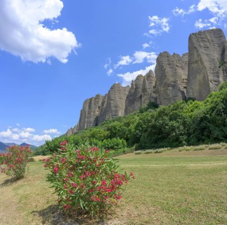 Blooming rhododendron and behind it conglomerate rock Les Pénitents, Les Mées,