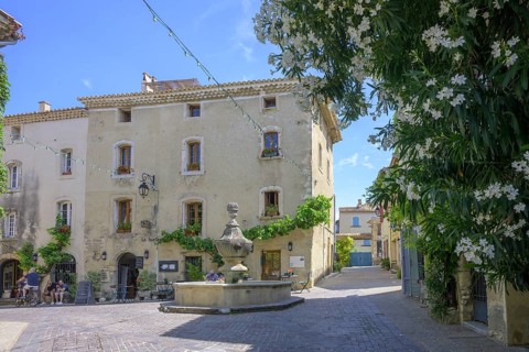 Square with fountain and large white flowering oleander in the old town centre of Venasque,
