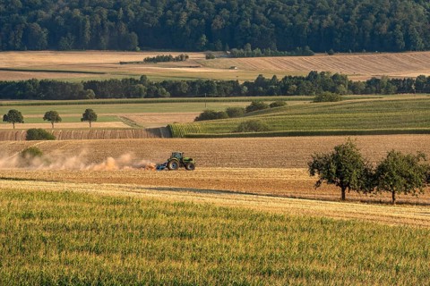 Tractor with plough digging up dried out soil, dust cloud, dust, dry, corn field, field, soil,