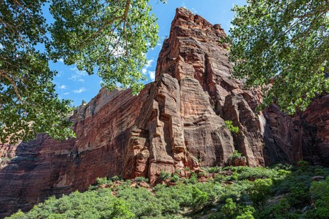 Rugged sandstone rock formation along the Weeping Rock Trail in Zion National Park, Utah