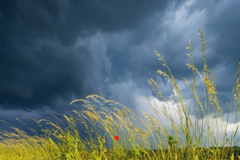 Thunderstorm cell over fields near Krebs in the Osterzgebirge, Krebs, Saxony, Germany, Europe