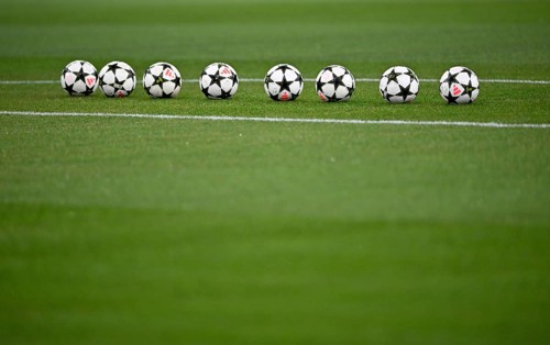 Adidas Derbystar Pro match balls lie on grass, Champions League, Allianz Arena, Munich, Bavaria,