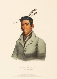 Ka-Ta-Wa-Be-Da. A Chippeway Chief (1841), Indians, Historical Indian tribes from North America,