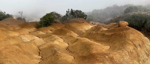 Yellow soil and rocks, erosion, near Arguamul, La Gomera, Canary Islands, Spain, Europe