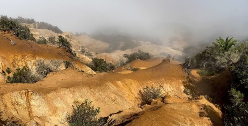 Clouds of fog, yellow earth, erosion, near Arguamul, La Gomera, Canary Islands, Spain, Europe