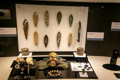 Offering of human skull, shells, stone blades, archaeological site and museum of Templo Mayor,