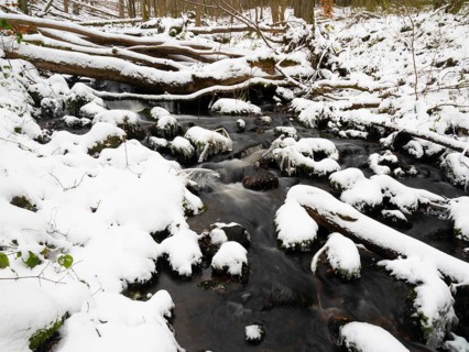 Hill Stream, the Schwartzbach, in snow and ice in November. The Rhön UNESCO Biosphere nature