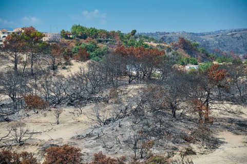 Burnt landscape with some green trees and hills in the background, forest fires, summer 2023,