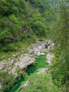 Emerald green river Pozze Smeraldine, Tramonti di Sopra, Province of Pordenone, Italy, Europe
