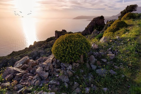 Striking rocky coast in spring, evening sun, backlight, Messinian Gulf, Ionian Sea, Mani, Greece,