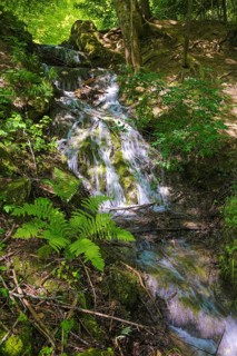 Small waterfall at the Gönningen lakes, calcareous tufa nature trail, idyll, nature, at the foot of