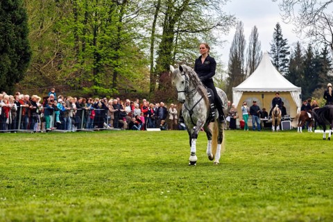 Rider on Andalusian, Pura Raza Española, dressage demonstration, audience, Garden Festival
