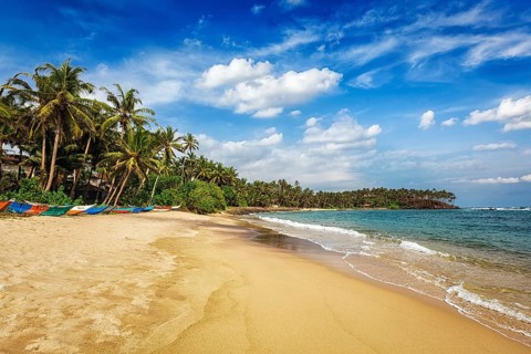 Tropical vacation holiday background, paradise idyllic beach. Mirissa, Sri lanka
