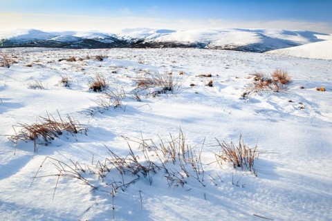 Lecht, Cairngorms NP, Scotland, Great Britain