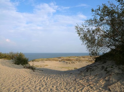 The Parnidis Dune in the Curonian Spit National Park is one of the largest shifting sand dunes in