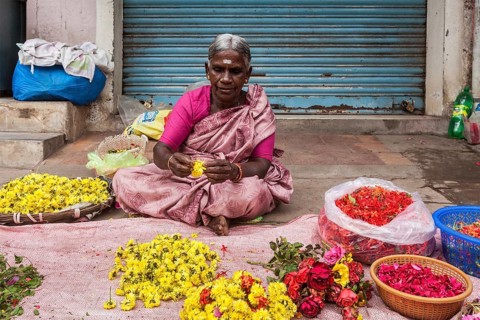 TIRUCHIRAPALLI, INDIA, FEBRUARY 14, 2013: Unidentified Indian woman, hawker (street vendor) of