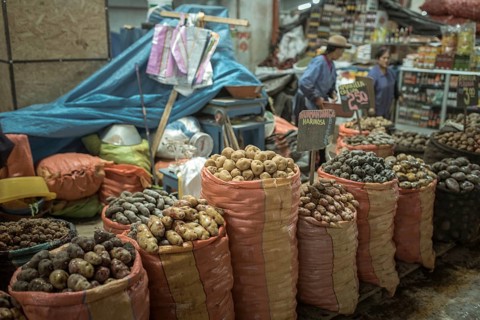 Potato variety, Mercado Mayorista, Huancayo, Peru, South America