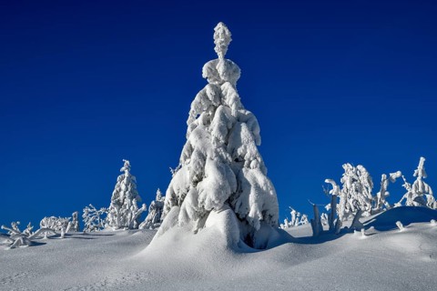 Snowy winter landscape near the Vogelskopf, near Baiersbronn, county Freudenstadt, Black Forest,
