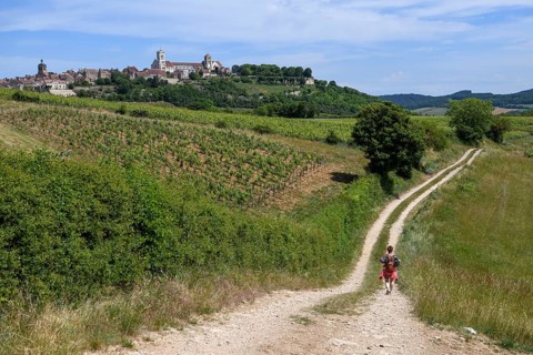 Hikers on the way to Vézelay, Yonne department, Bourgogne-Franche-Comté region, Burgundy, France,
