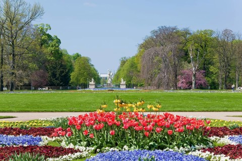 Large garden in Dresden
