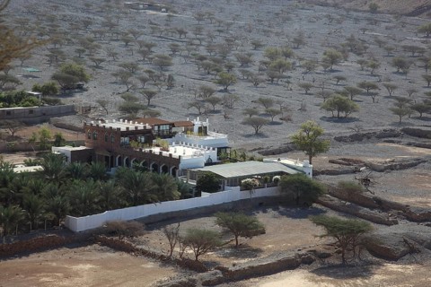 Palm grove in the bay of Bukha, in the Omani enclave of Musandam, Oman, Asia