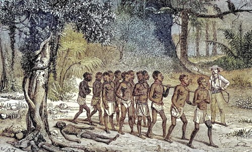 Slaves crossing a forest of the dead, slave hunters in the Congo in 1868, Africa, Historical,