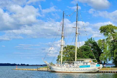 The schooner brig, The sail training ship GREIF ex WILHELM PIECK at its berth in the city harbour