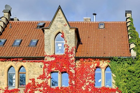 Old house in neo-Gothic style that is overgrown with red autumn leaves, using the example of the