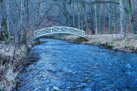Wooden bridge over the Große Röder in the park of the Seifersdorfer Tal, one of the oldest German