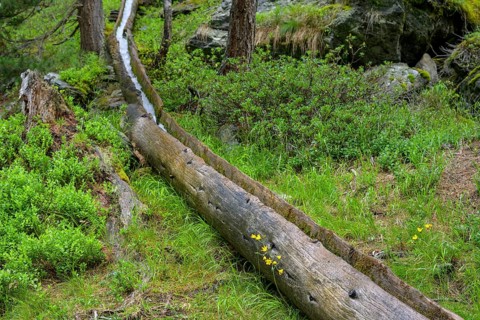 Wooden channel of the Kandelwaal, Martell, South Tyrol, Italy, Europe