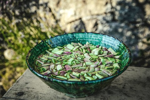 Cleaned and washed green beans in a stoneware bowl, La Lastra del Cano, Sierra de Gredos, Ávila,