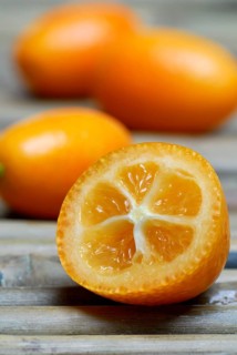Kumquats,Kumquat (Fortunella)
