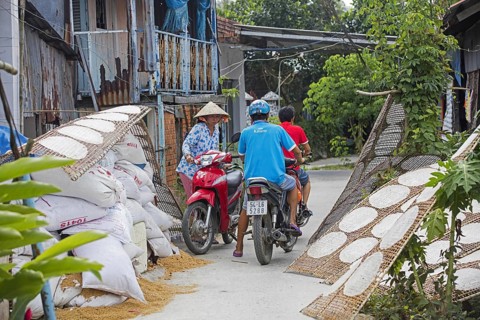 Sheets of edible rice paper, used for making fresh or fried spring rolls in Vietnamese cuisine