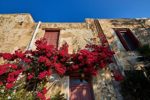 House facade, red geraniums, detail, brown doors, brown windows, Preveli, Orthodox monastery, south