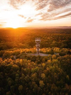 Aerial view of the Schönbuchturm in autumn forest at sunrise, Herrenberg, Germany, Europe