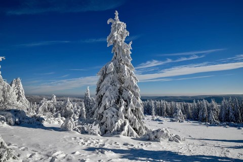 Snowy winter landscape near the Schliffkopf, near Baiersbronn, county Freudenstadt, Black Forest,