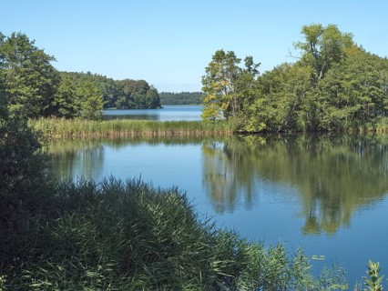 Landscape at the Schaalsee at the peninsula Kampenwerder in the UNESCO Biosphere Reserve Schaalsee,