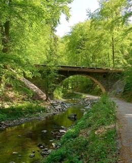 Rabenauer Grund, after the severe damage caused by the floods of 2002, the popular narrow-gauge