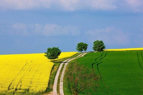 Landscape near Frauenstein