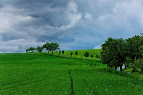Summer landscape near Rathewalde in Saxon Switzerland