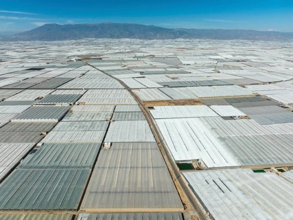 Masses of shimmering plastic greenhouses near El Ejido, aerial view, drone shot, Almería province,