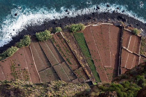View from the glass-bottom skywalk, Cabo Girao, of terraced fields by the sea, Camara de Lobos,