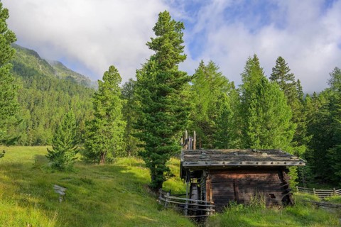 Mill, Stallwies, Martell, South Tyrol, Italy, Europe