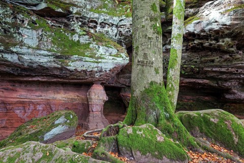 Old castle rock, red sandstone rock formation, natural and cultural monument, Brechenberg near