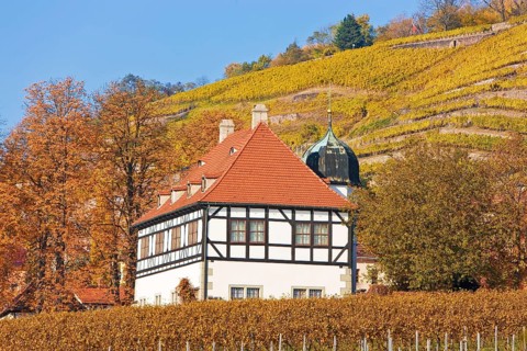 Winery Haus Hoflößnitz