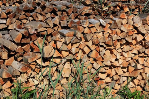 Stacked firewood, split wood in logs, stacked for drying