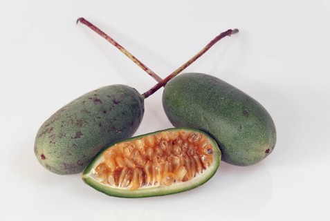 Curubas (Passiflora mollissima)