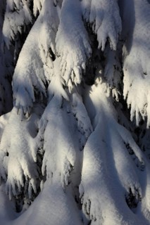 Winter landscape in the Fichtelgebirge, Bayreuth district, Upper Franconia, Bavaria, Germany,