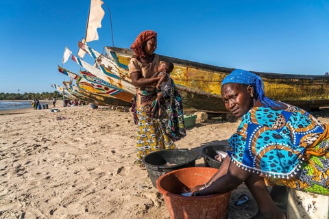 Fishermen's wives with fishing boats on the beach of Sanyang, Gambia, West Africa, Africa