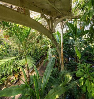 Tropical rainforest, Palm House, oldest Victorian greenhouse in the world, Royal Botanic Gardens,